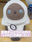 こんにちは！宝来ホーム特養です。
このたび、宝来ホームにペットロボット「LOVOT」がやってきました！
愛らしいしぐさや表情に、ご利用の皆さまも職員も自然と笑顔があふれています。毎日たくさんの方に可愛がられ、癒しの存在として人気者です。
#欣彰会　#LOVOT #楽しい介護