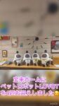 🐥💛 宝来ホームに新しい仲間がやってきました!
なんとこのたび、宝来ホームにLOVOT(ラボット)が4匹やってきました!✨
かわいらしい姿や愛らしい動きに、ご利用者も職員も思わずにっこり☺️💕
施設の中に、笑顔と癒やしが広がっています🌷
これから4匹と一緒に、たくさんの思い出をつくっていきたいと思います!
宝来ホームの新しい仲間たちを、どうぞよろしくお願いします🐾💖
#宝来ホーム #特別養護老人ホーム #LOVOT #介護の日常 #楽しい介護